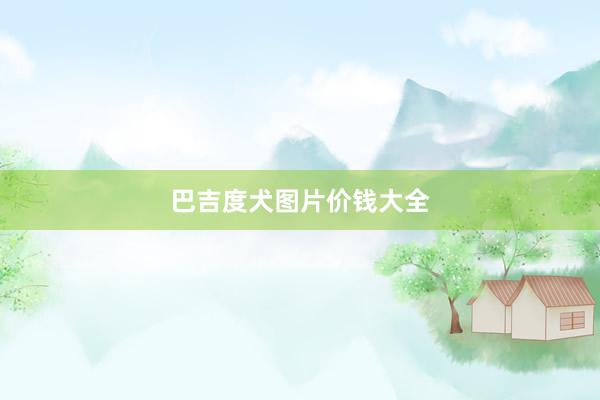 巴吉度犬图片价钱大全